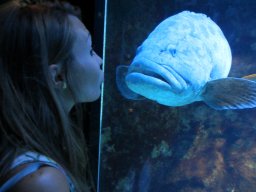 Visite de Célyne et Faf